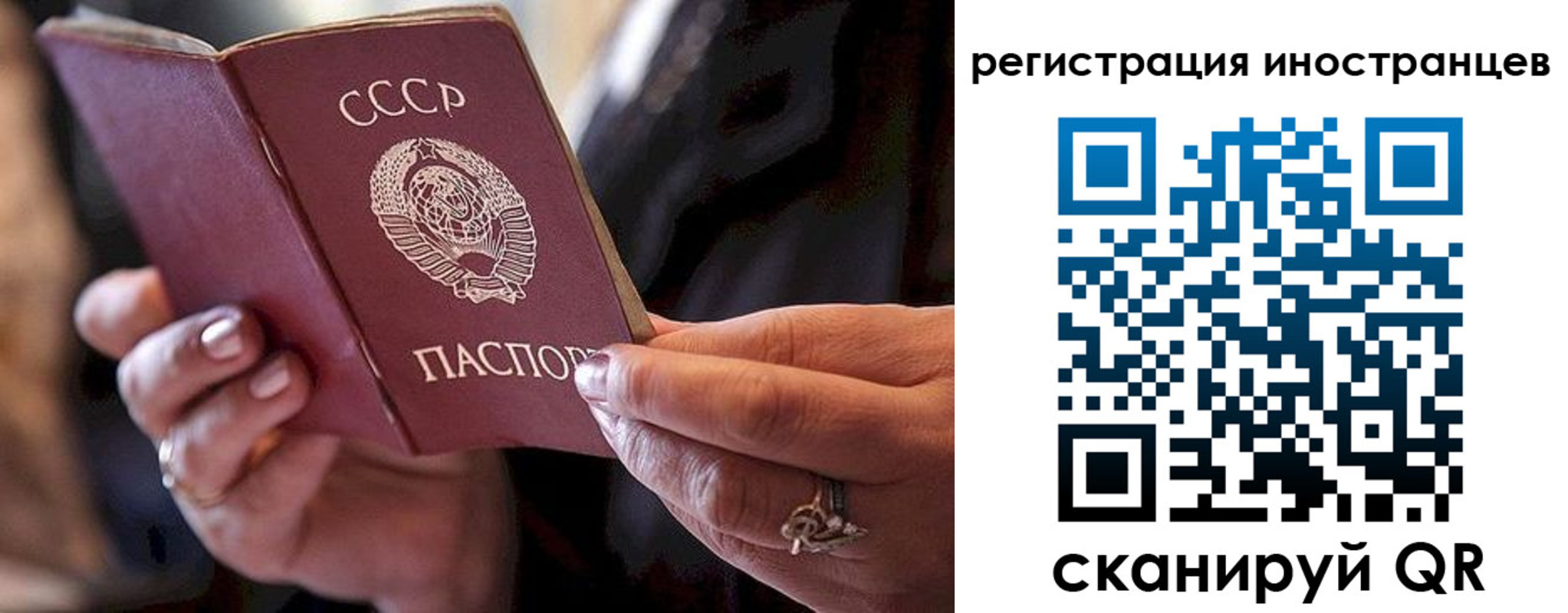 прописка 2025 в Брянске