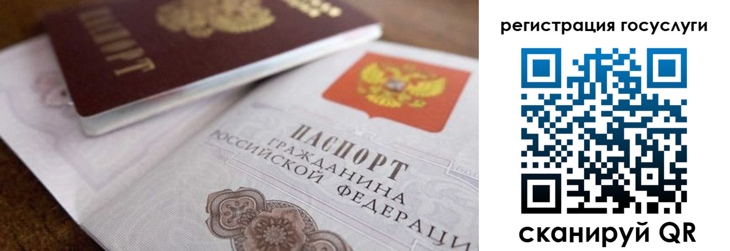 пропишу в квартире в Брянске